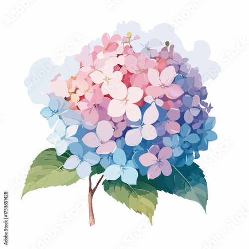 Hortensienblüte in Pastell – voller Leichtigkeit