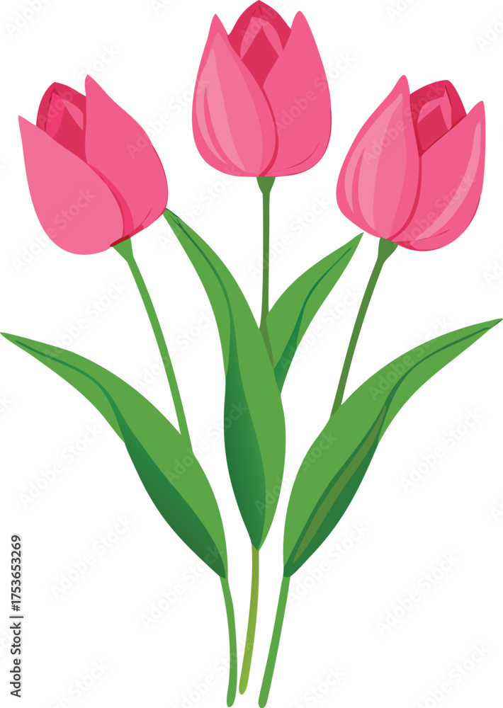 Fototapeta premium bouquet of pink tulips