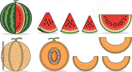 Vector art of watermelon and cantaloupe slices and whole fruit isolated on white