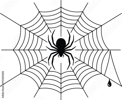 Black spider on white spiderweb with dewdrop arachnid