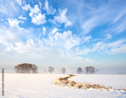 A serene winter landscape displays a snow-covered field with scattered bare trees under a vibrant, cloud-filled blue sky. A faint path winds through the snowy expanse