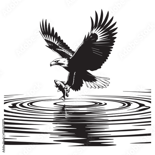 Majestic bald eagle soaring above rippling water catching a fish in a dramatic silhouette illustration