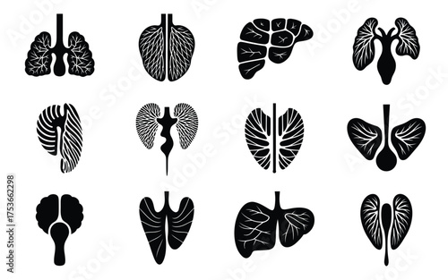 Vector art of collection of human organs