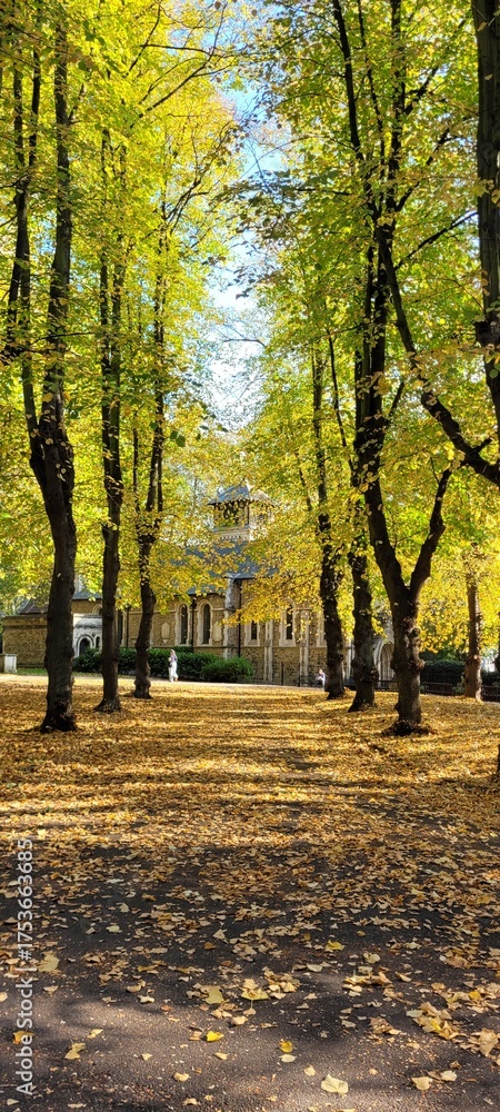 Naklejka premium autumn in the park