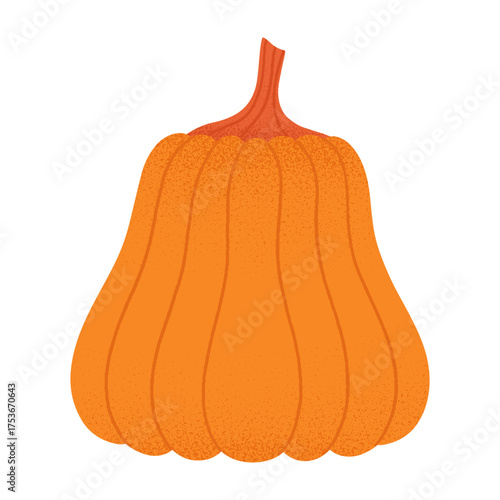 Pumpkin vector isolated.Autumn seasonal element.Hand drawn halloween,thanksgiving,harvest festival illustration for prints,flyers,banners,covers,branding design,clipart.