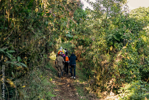A group of hikers in the forest at Mount Muhabura in Mgahinga Gorilla National park in Uganda