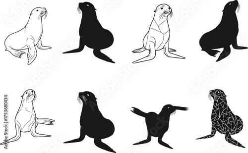Sea lion vector set, stylized marine animal illustrations, abstract sea lion poses, silhouette, line art, geometric, wildlife design elements