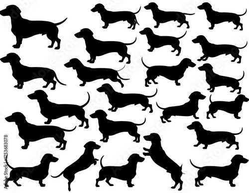 A repeating pattern features numerous silhouettes of a short-legged dog breed in various poses, against a white background