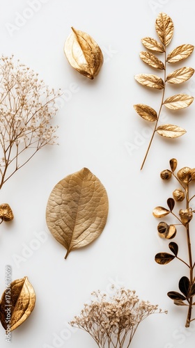 Elegant Golden Leaves and Flowers Arranged on a White Background for Artistic...