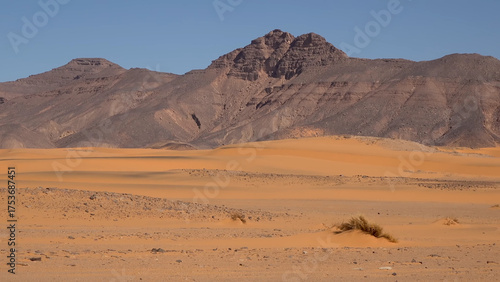 Foto A trip to Sahara desert in Algeria