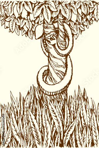 Vector drawing. Snake on the tree