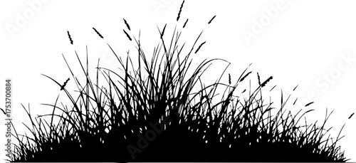 Silhouetted grass tuft with detailed foliage, perfect for adding natural elements to designs, evoking serenity and outdoor beauty, created from scalable vector art
