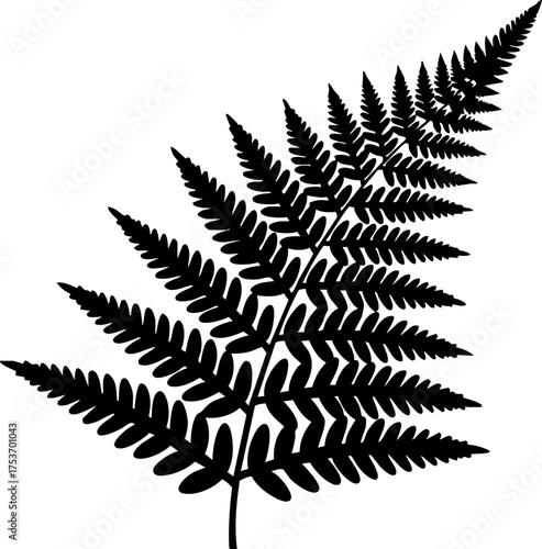 Elegant fern frond silhouetted for botanical designs, inviting a touch of nature's beauty to logos, printables, and creative projects, originally vector art