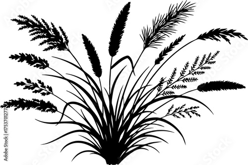 Graceful silhouette of prairie grass plumes swaying gently, evoking natural beauty, perfect for adding an organic touch to any design project or artistic composition
