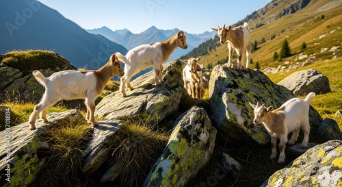 Charming goat kids playfully exploring rocky terrain in the Austrian Alps, enjoying the sunshine and mountain views, perfect for travel and nature themes