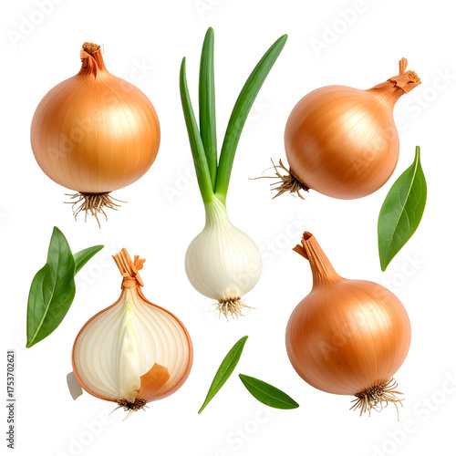 Image shows several whole & cut onions and fresh green leaves scattered on a black background