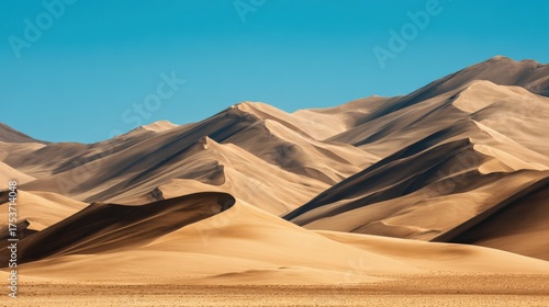 Fototapeta Naklejka Na Ścianę i Meble -  Vast desert landscape with undulating sand dunes in bright sunshine