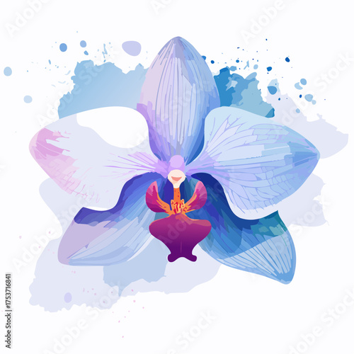 Nebelorchidee – geheimnisvolle Blüte im Dunst