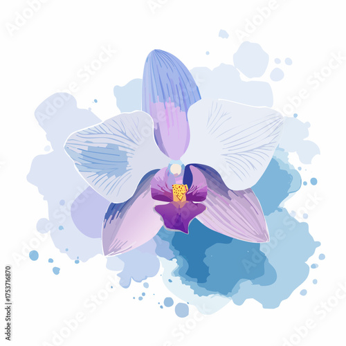 Nebelorchidee – geheimnisvolle Blüte im Dunst