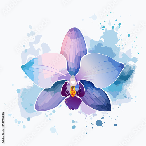 Nebelorchidee – geheimnisvolle Blüte im Dunst