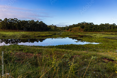 Landscape, Imbé, Campos dos Goytacazes, RJ, Brazil