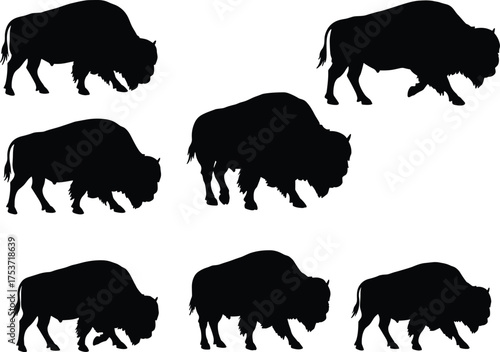 Bison silhouette vector, walking bison illustration, standing bison pose, wild buffalo artwork, wildlife animal clipart, black bison design, nature drawing