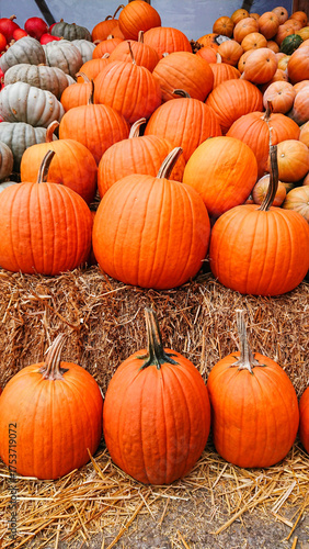 Pile of vibrant orange pumpkins arranged on straw bales at a rustic autumn farm stand.