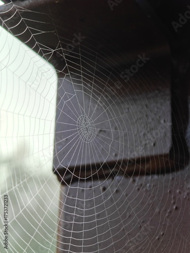 Wallpaper Mural Spider web without a spider with morning dew near a metal profile.
 Torontodigital.ca