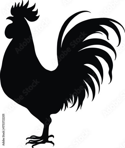 Black silhouette of a rooster standing proudly isolated on white background