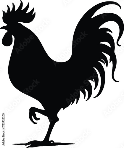 Black silhouette of a proud rooster standing tall isolated on white background