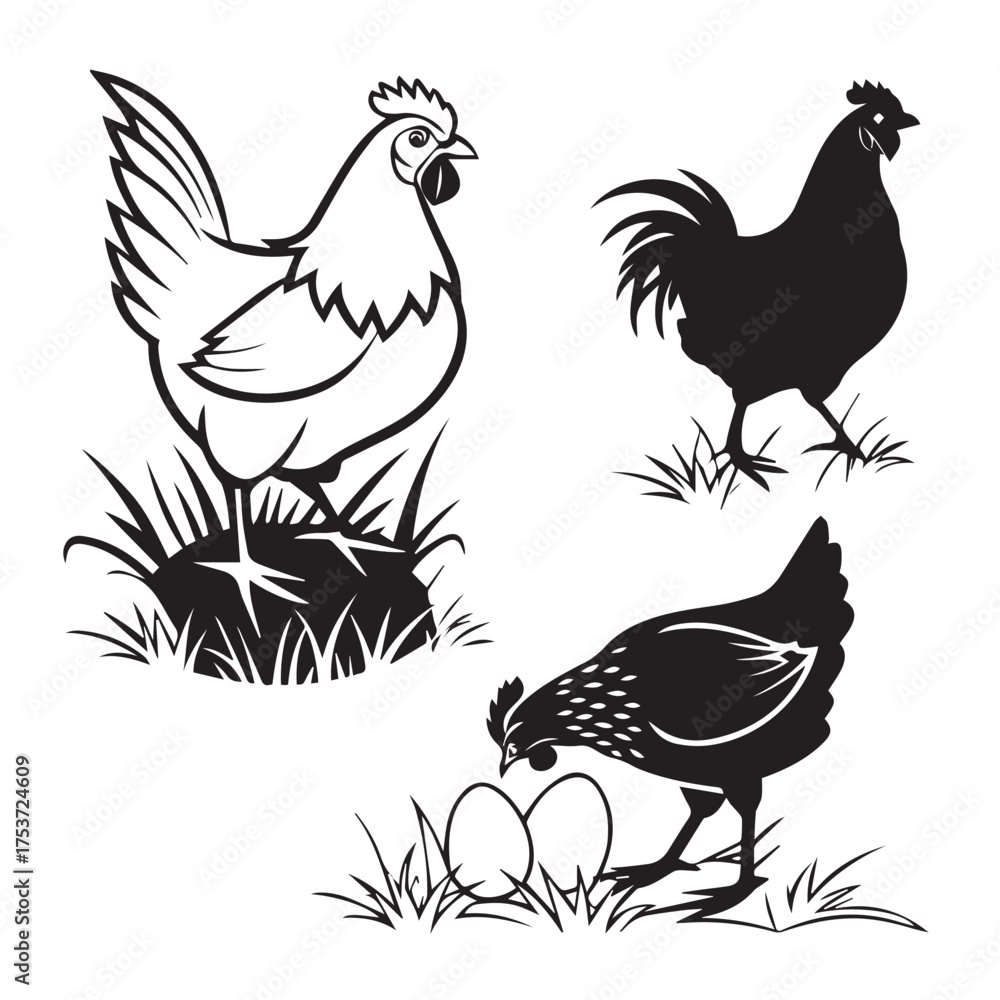 Fototapeta premium vector illustration of a rooster