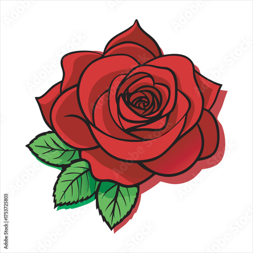 Detailed red rose illustration isolated on a white background