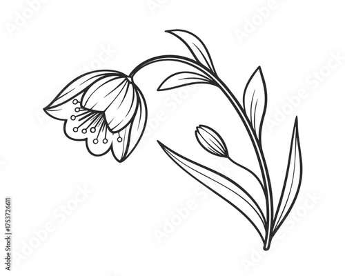 Elegant Sketch of a Drooping Flower with Stem and Leaves Botanical Illustration for Coloring Books and Creative Designs