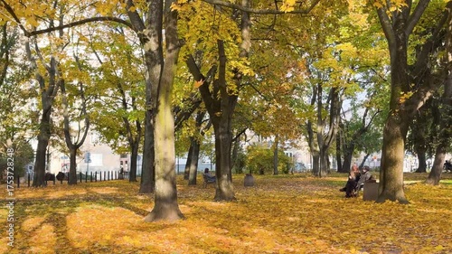 Warsaw, the capital of Poland, and the leaves painted in autumn colors