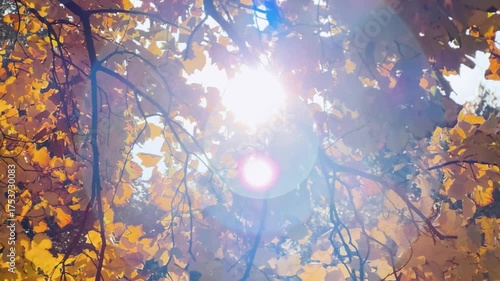 Warsaw, the capital of Poland, and the leaves painted in autumn colors