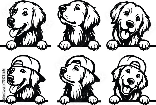 Peeking Golden retriever silhouette set. Dog head vector