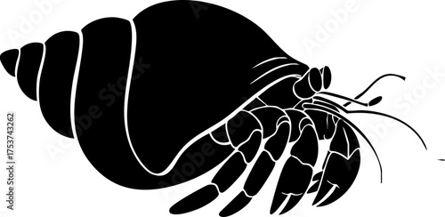 Striking silhouette of a hermit crab encased in its protective shell, showcasing intricate details of its legs and antennae in a bold, graphic style.
