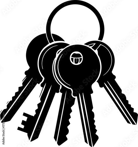 Unlock new possibilities and access opportunities with this professional set of essential keys, symbolizing security and solutions for your next project.
