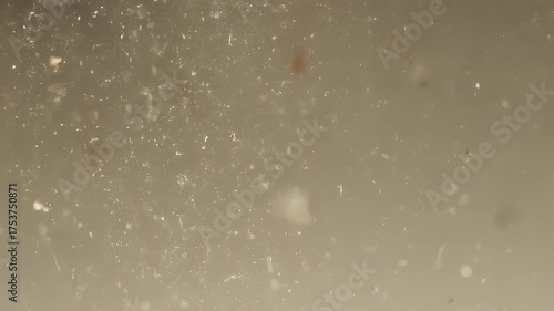 Close-up of a hazy beige-gray substance with various scattered particles, appearing suspended