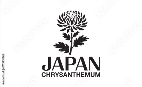Chrysanthemum vector illustration national flower Japan Asian flora bloom blossom floral symbol Japanese culture
