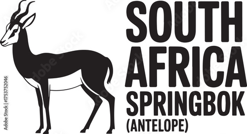 South Africa Springbok Antelope Standing African Wildlife Vector Nature Graphic