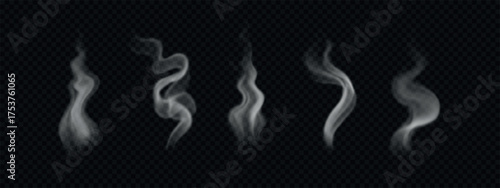 Various steam and hot smoke from food and coffee. Realistic vector illustration of bbq vapor isolated on transparent backdrop