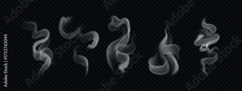 Set of realistic wavy steam and hot smoke. Different vapor and haze from hot food and coffee iaolated on transparent background