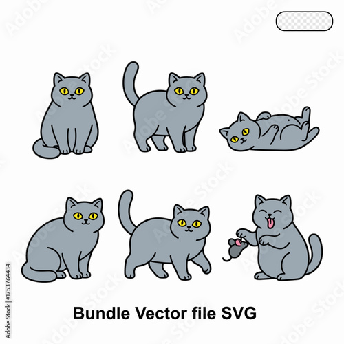 Gray cat pose vector set in clean cartoon style. Ideal for pet care content, veterinary materials, and animal themed designs.