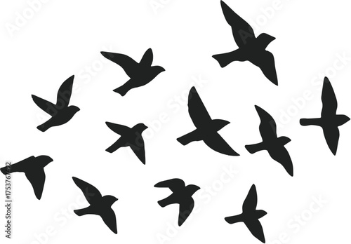 set of vector birds