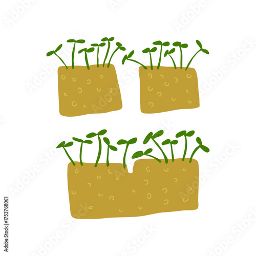 Growing Sprouts Seedling Blocks and Row Planting in a Bright Garden Illustration