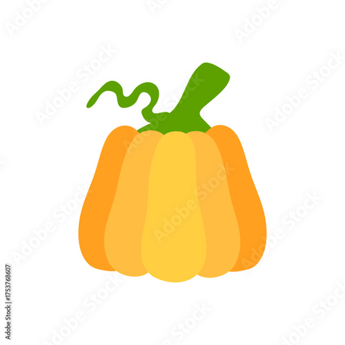 Colorful Pumpkin Illustration for Autumn Harvest and Halloween Decor