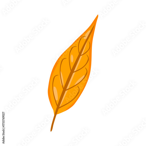 Bright Orange Autumn Leaf Illustration for Nature, Seasonal Design, and Fall-Themed Projects, Editorial Marketing Stock Images