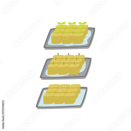 Illustration of Hydroponic Plant Growth at Seedling and Early Sprout Stages