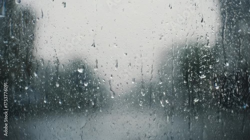Raindrops blur a window's view of trees, a misty day